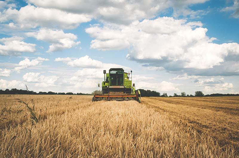 agriculture-1866896_800x530
